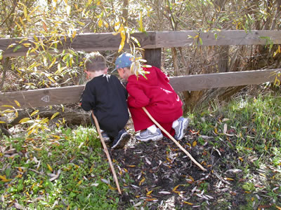 rosecanyon.org