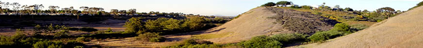 Friends of Rose Canyon